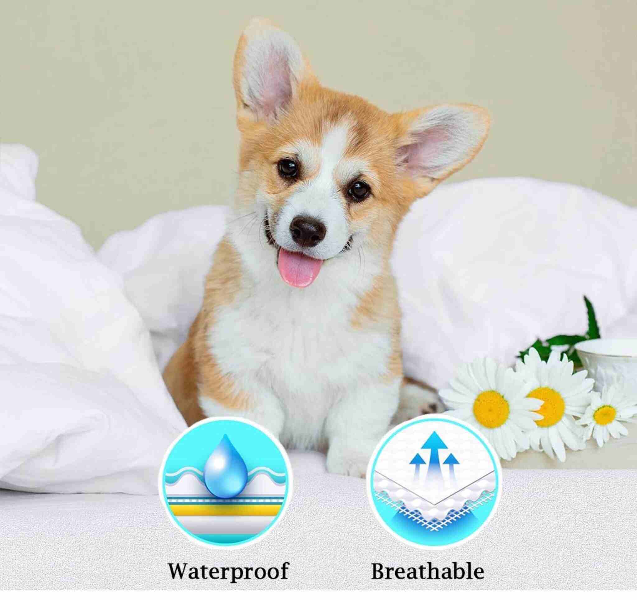 Premium terry towel waterproof mattress protector online