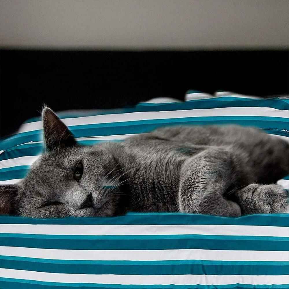 teal duvet covers